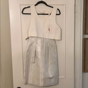 Erin NWT cocktail dress